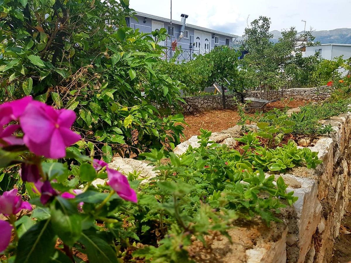 Aira Apartment Himare Exterior photo